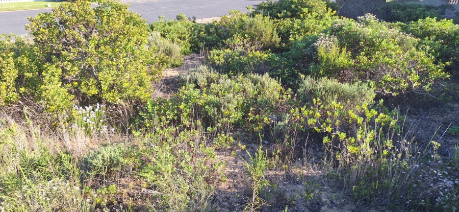 0 Bedroom Property for Sale in Hersham Western Cape